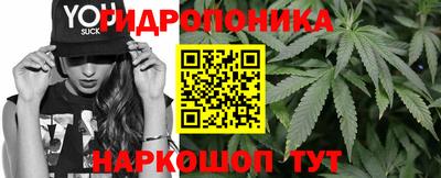 круглые Будённовск