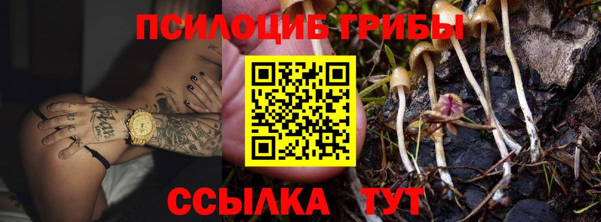 Псилоцибиновые грибы ЛСД  Псилоцибиновые грибы ЛСД  Вход с VPN  Череповец 
